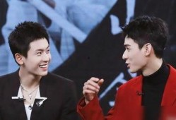 娱乐圈双男主,双男主携手演绎娱乐圈的璀璨传奇